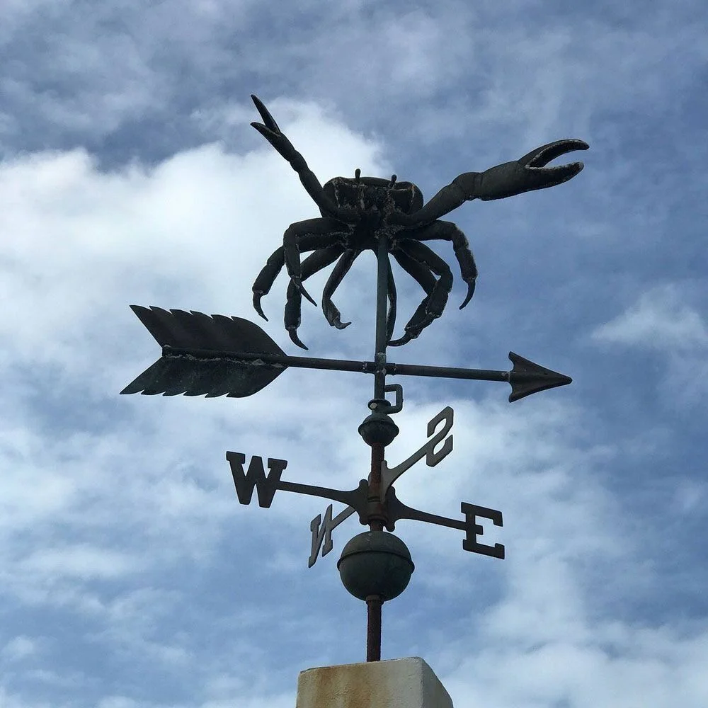 MoveForward hero background